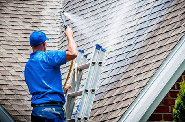 raleigh roof cleaning